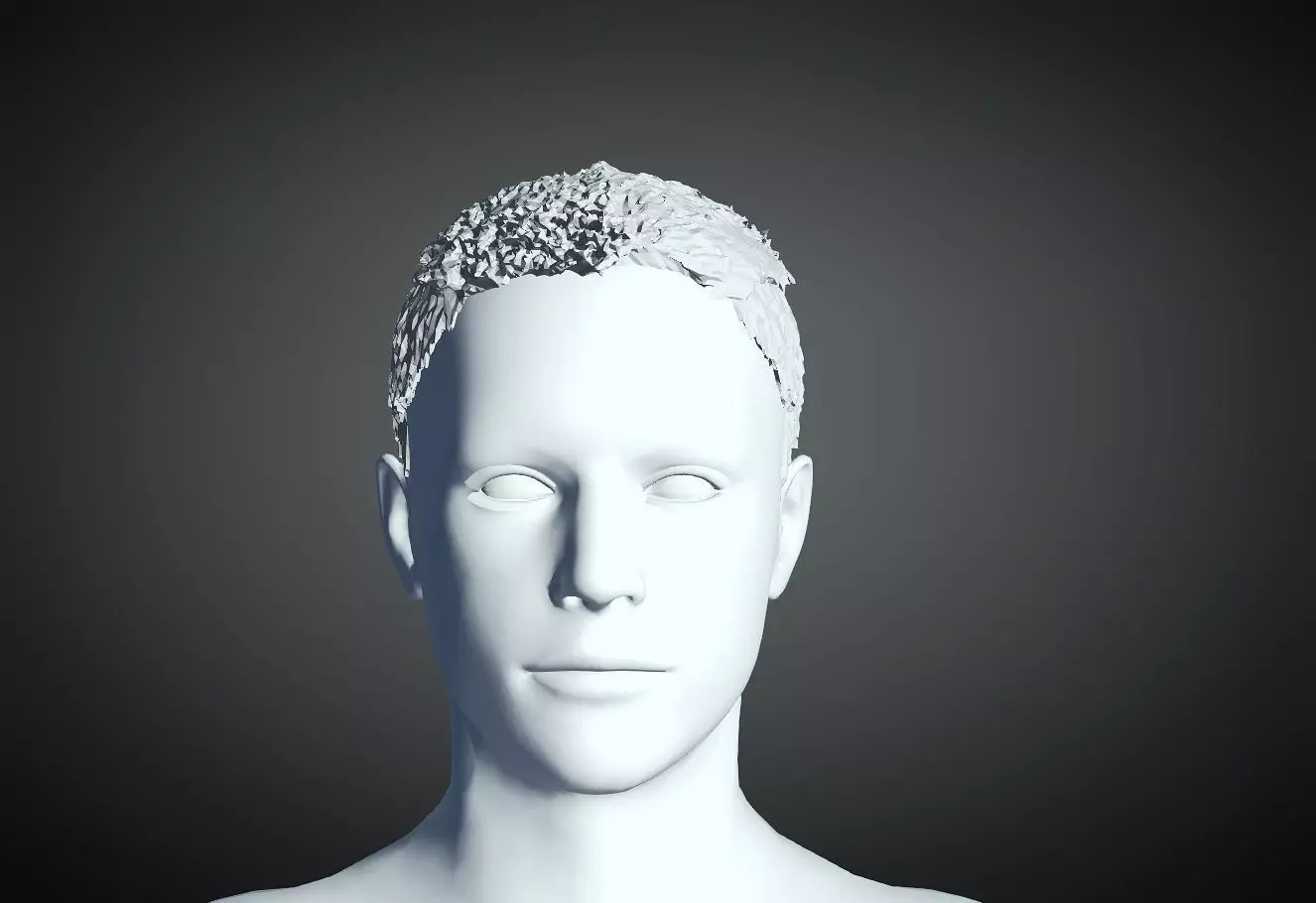 3D Hair style for Man 04 3D print model