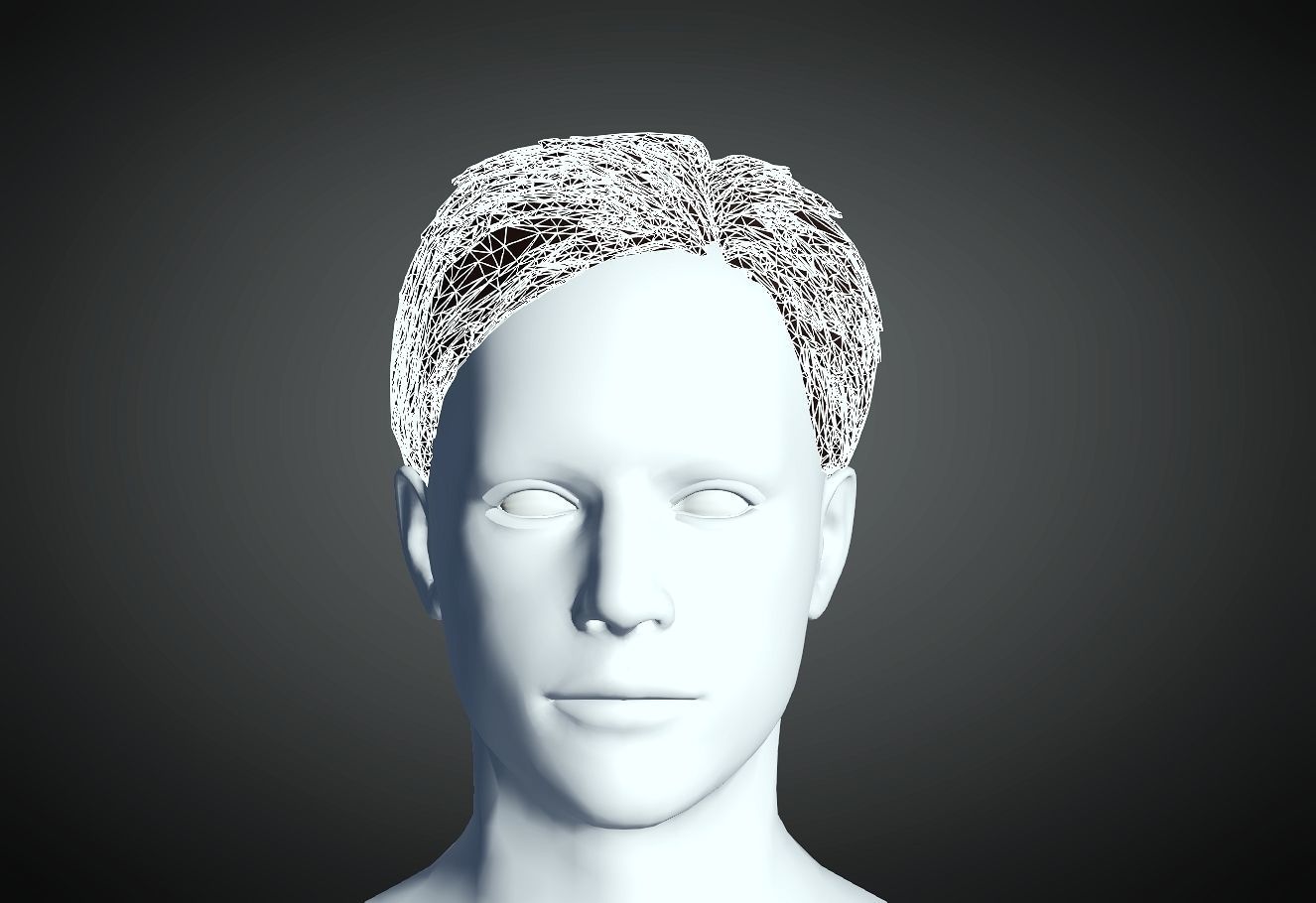 3D Hairstyle for man 05 3D print model_2