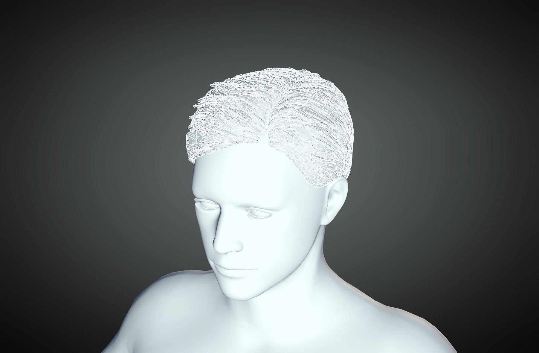 3D Hairstyle for man 05 3D print model_3
