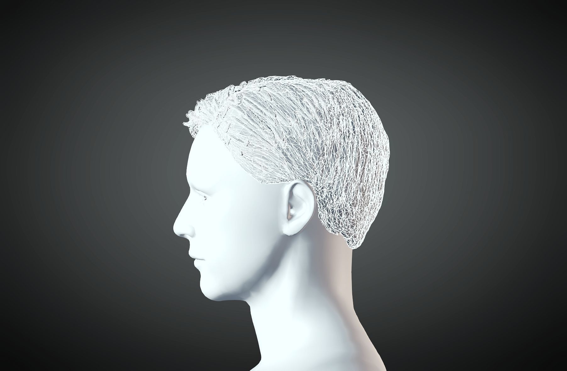 3D Hairstyle for man 05 3D print model_4