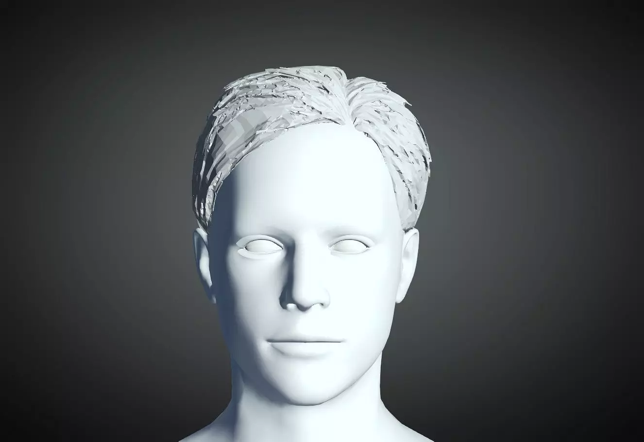 3D Hairstyle for man 05 3D print model_0