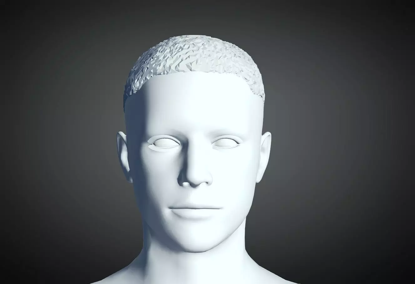 3D Hairstyle for Man 06 3D print model_0