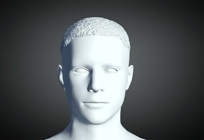 3D Hairstyle for Man 06 3D print model