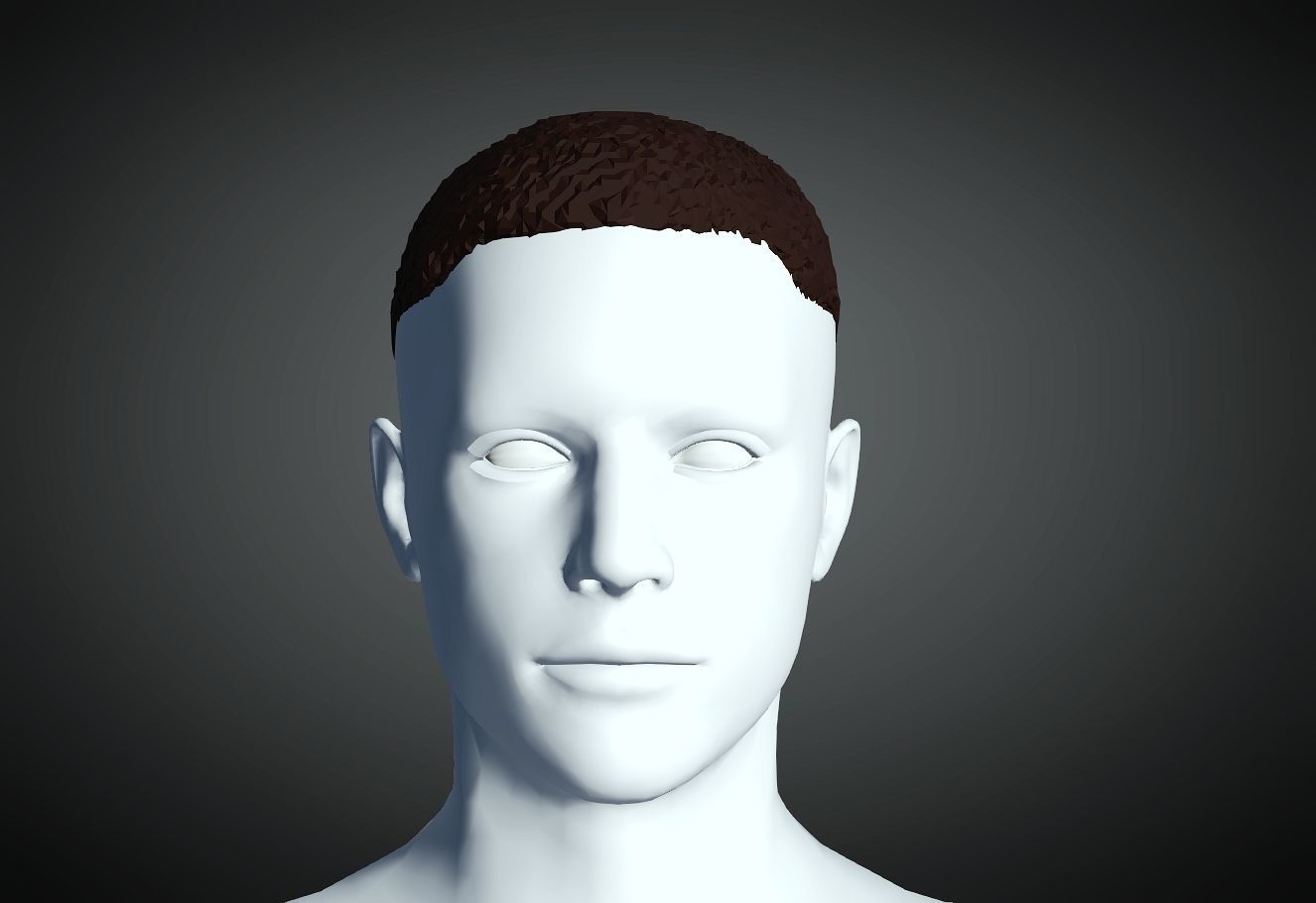 3D Hairstyle for Man 06 3D print model_1