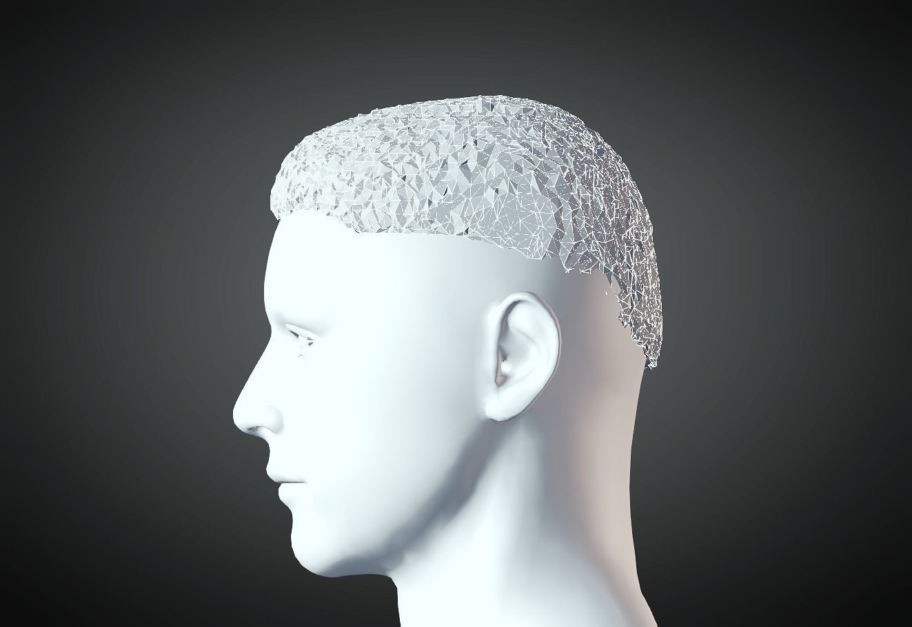 3D Hairstyle for Man 06 3D print model_3
