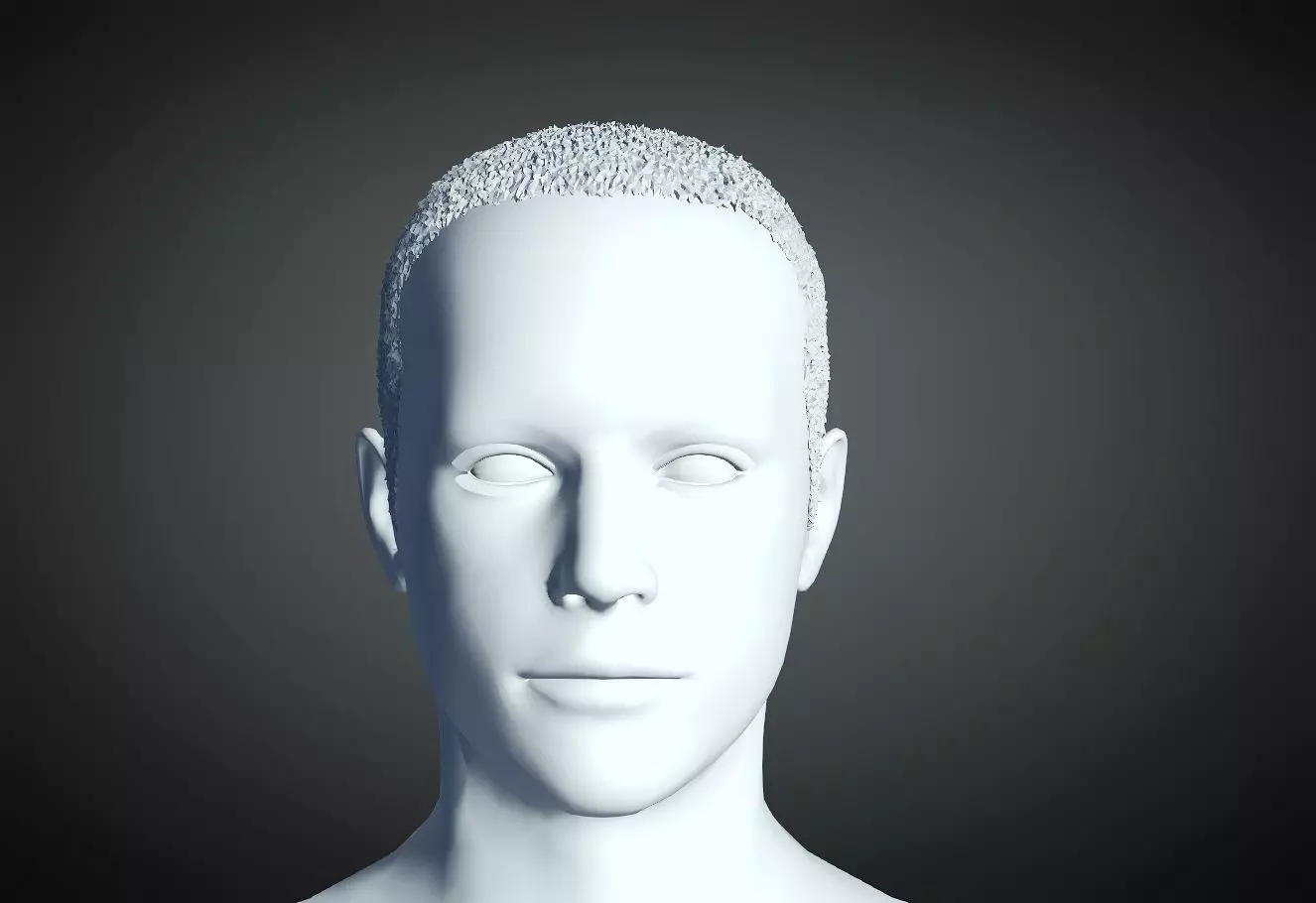 3D Hairstyle For Man 07 3D print model_0
