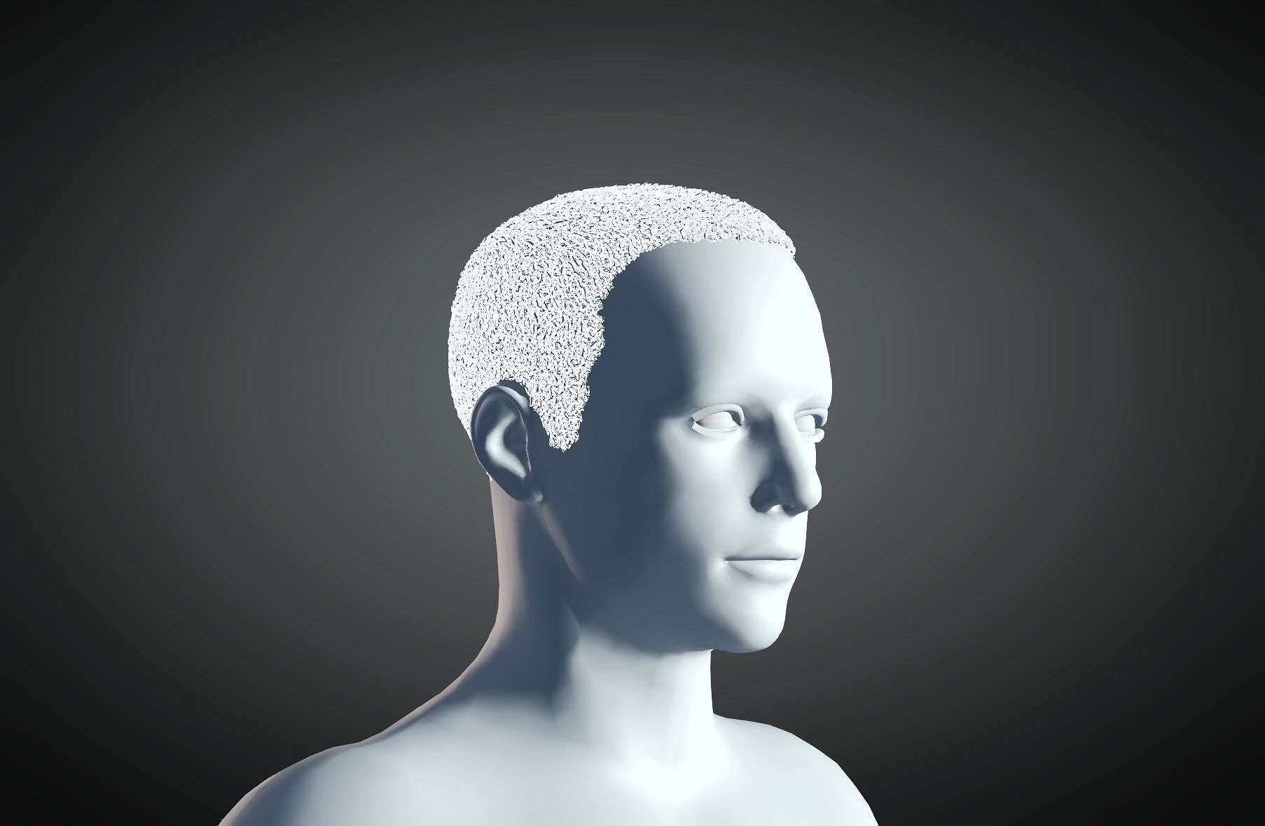 3D Hairstyle For Man 07 3D print model_3