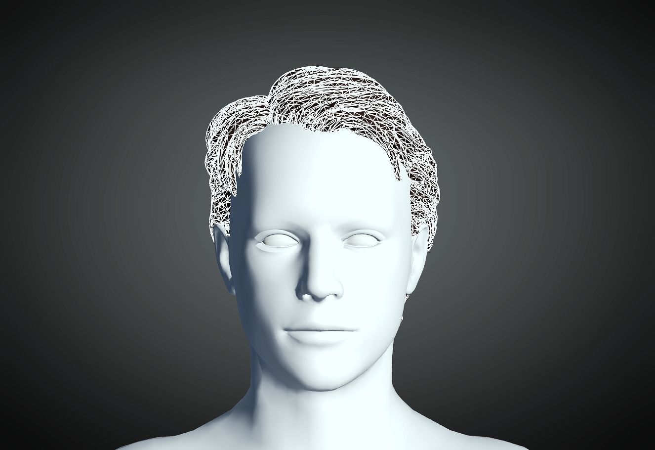 3D Hair style for Man 08 3D print model_2