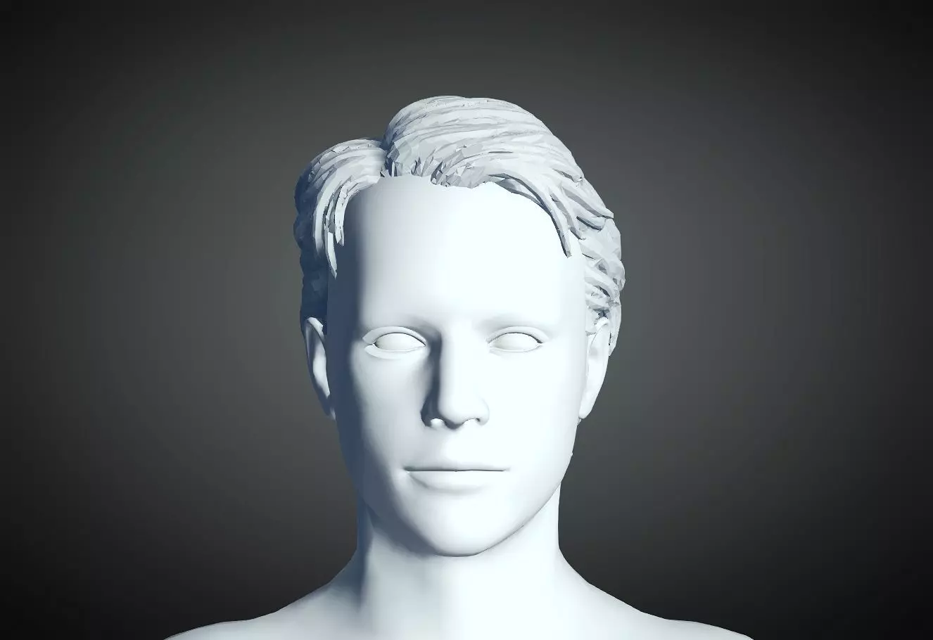 3D Hair style for Man 08 3D print model_0