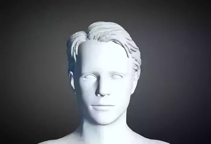 3D Hair style for Man 08 3D print model