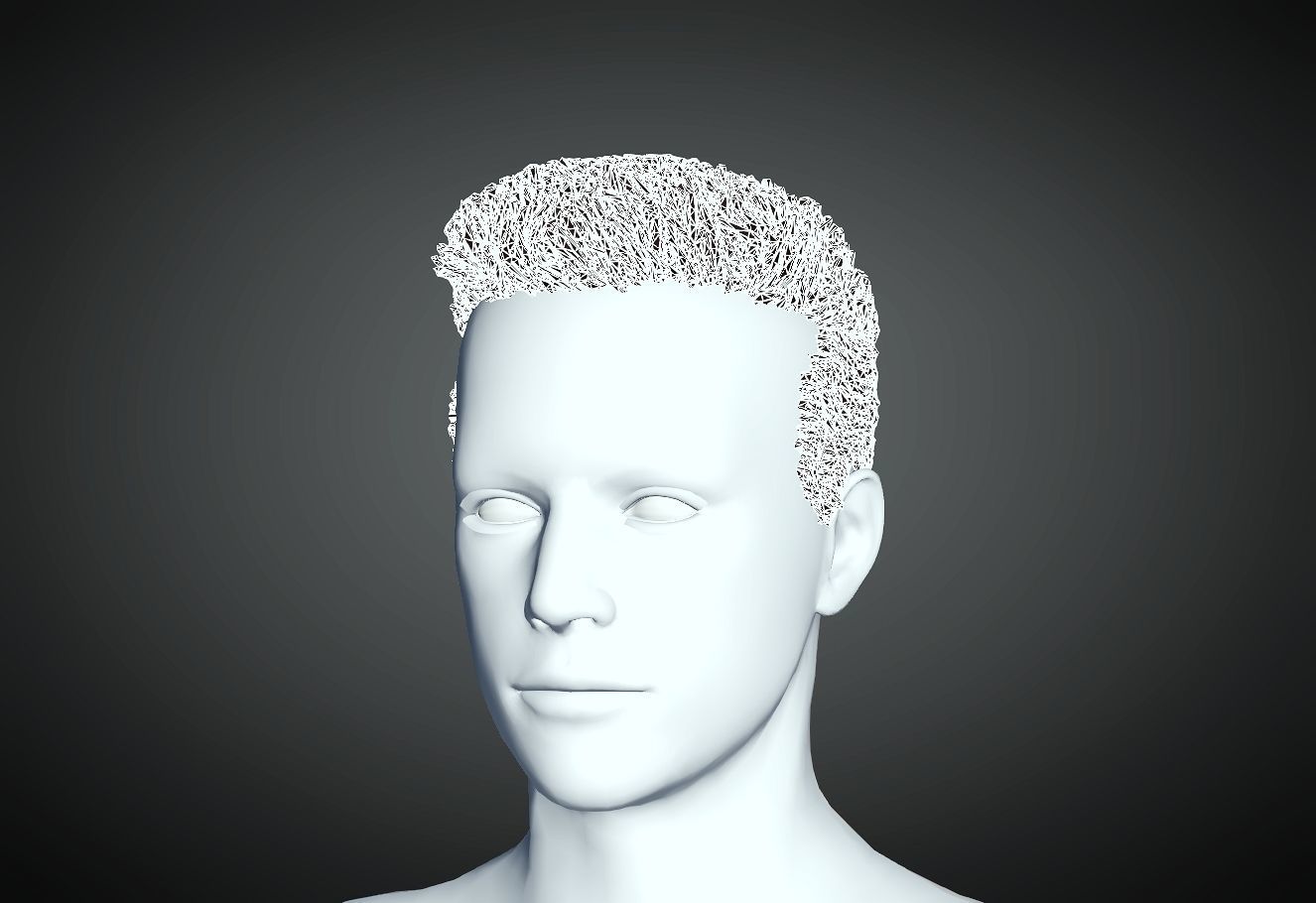 3D Hair style for Man 09 3D print model_2