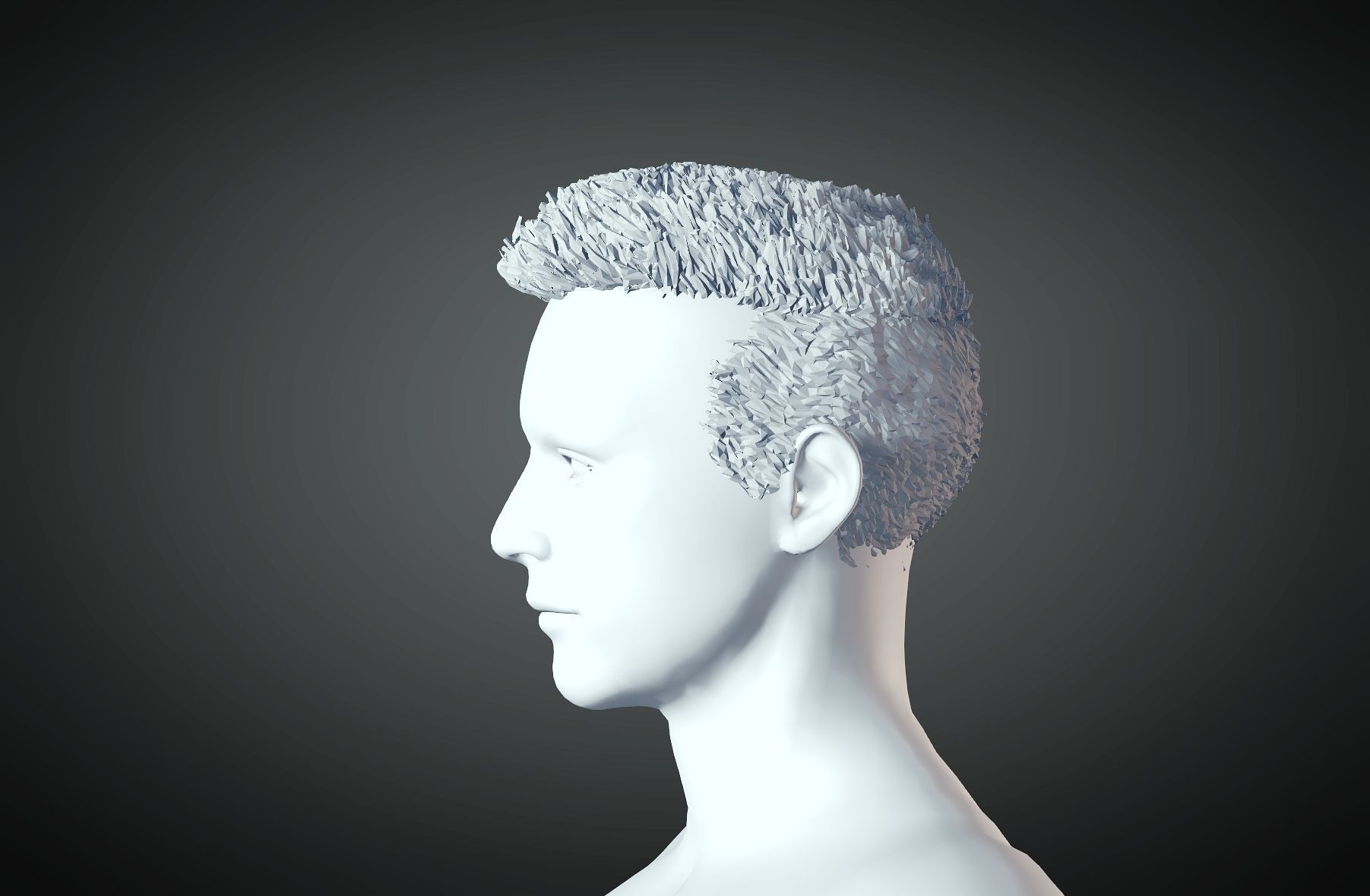 3D Hair style for Man 09 3D print model_5