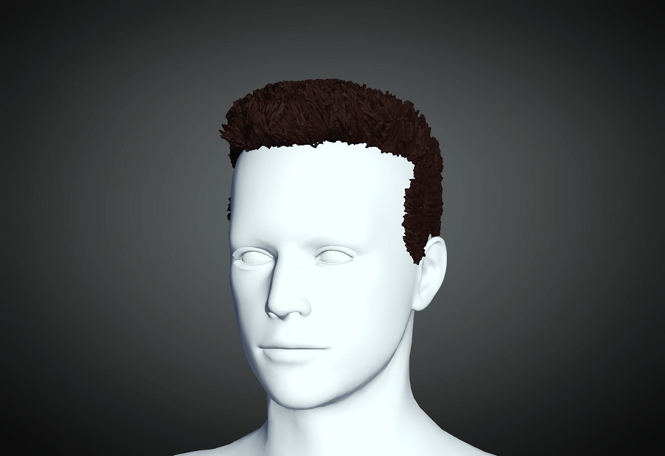 3D Hair style for Man 09 3D print model_1