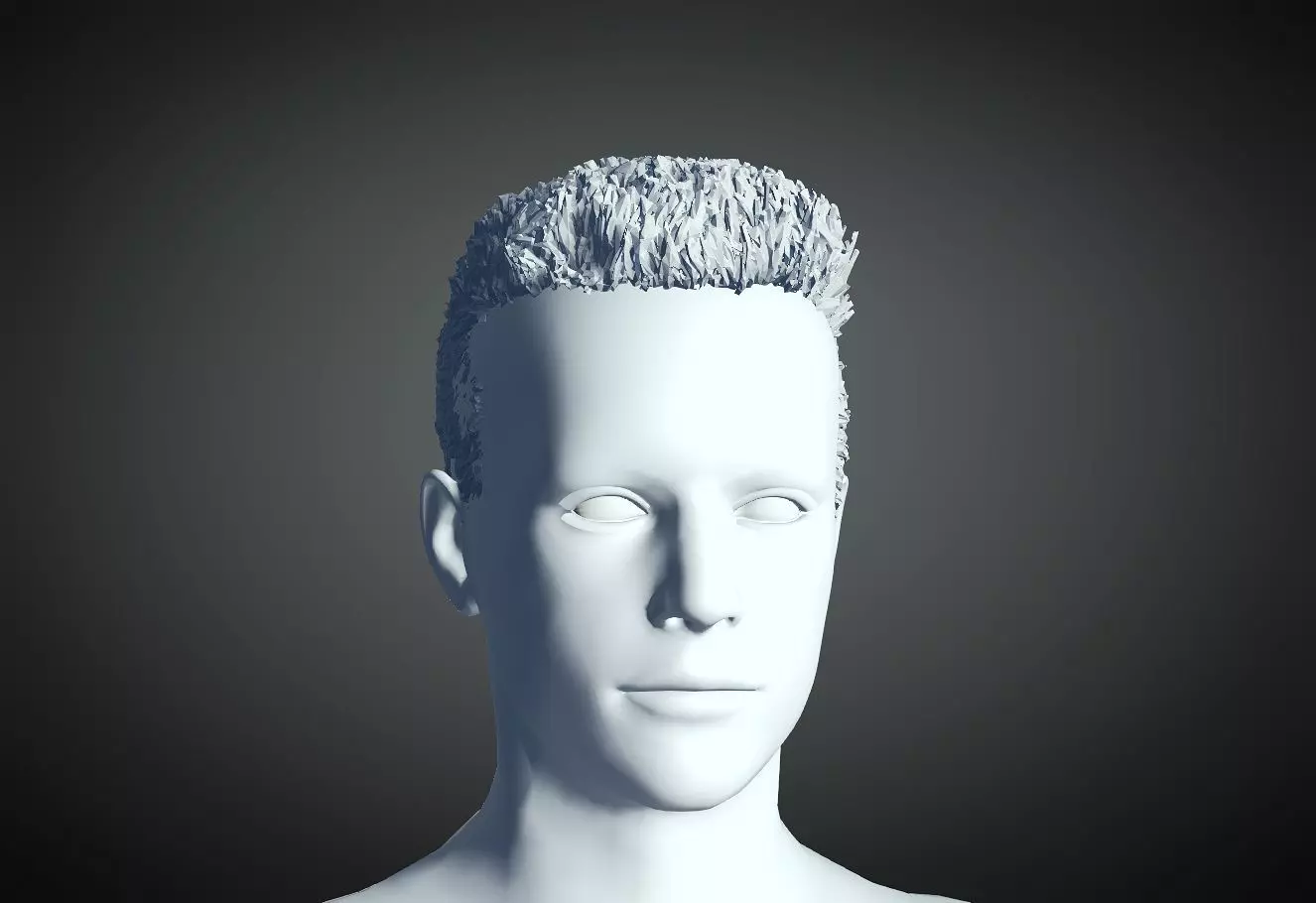 3D Hair style for Man 09 3D print model_0