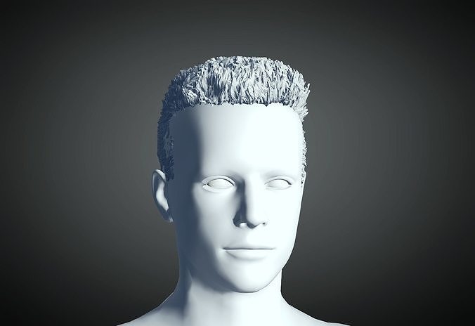 3D Hair style for Man 09 3D print model