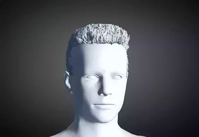 3D Hair style for Man 09