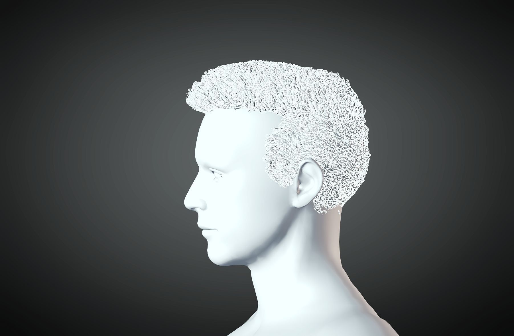3D Hair style for Man 09 3D print model_4