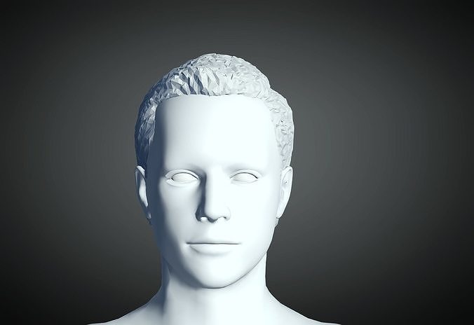 3D Hair style for Man 10 3D print model 3D print model