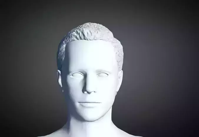 3D Hair style for Man 10 3D print model