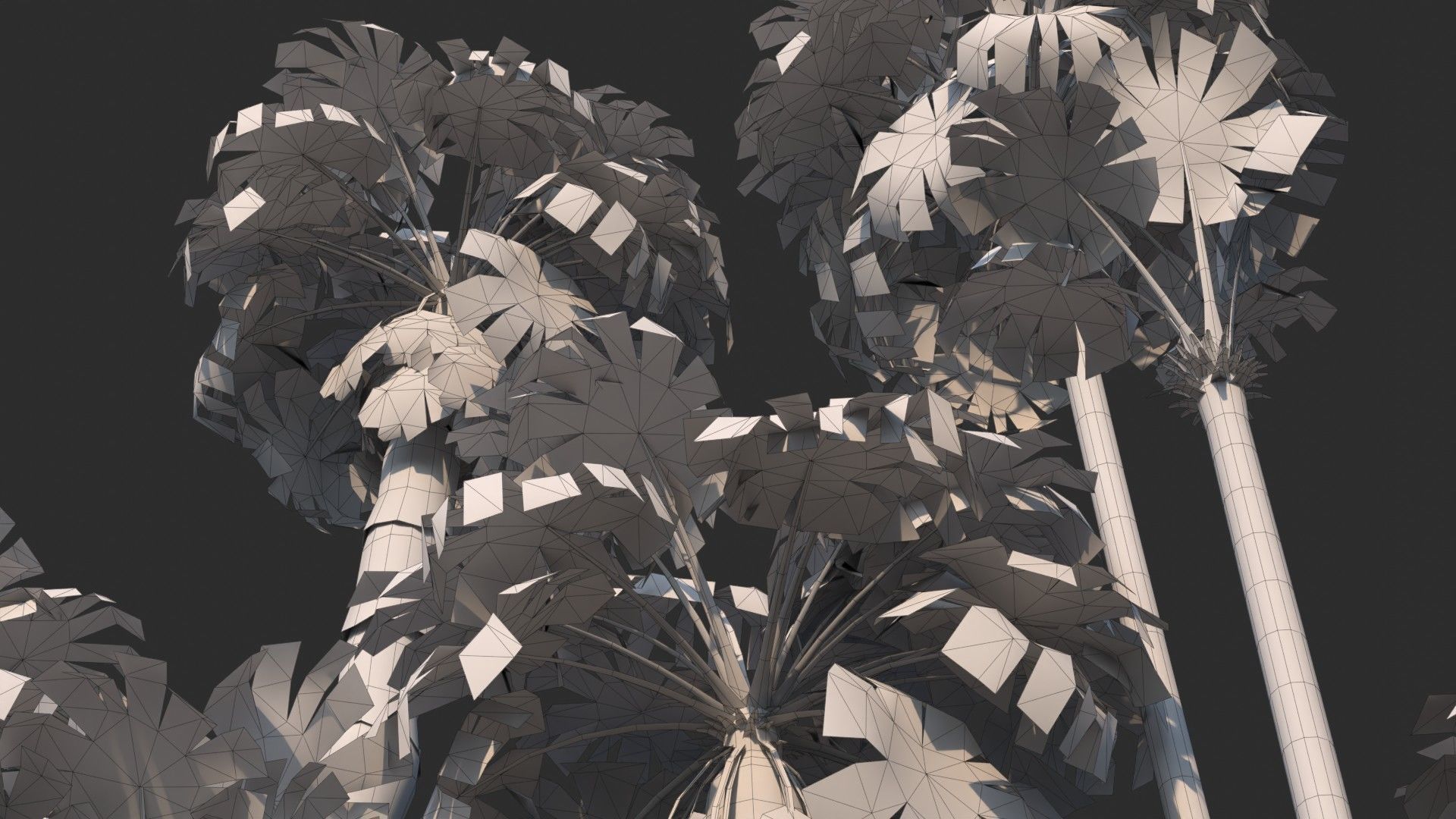 Modular Mexican Fan Palm Tree - Washingtonia Robusta Low-poly 3D model_13