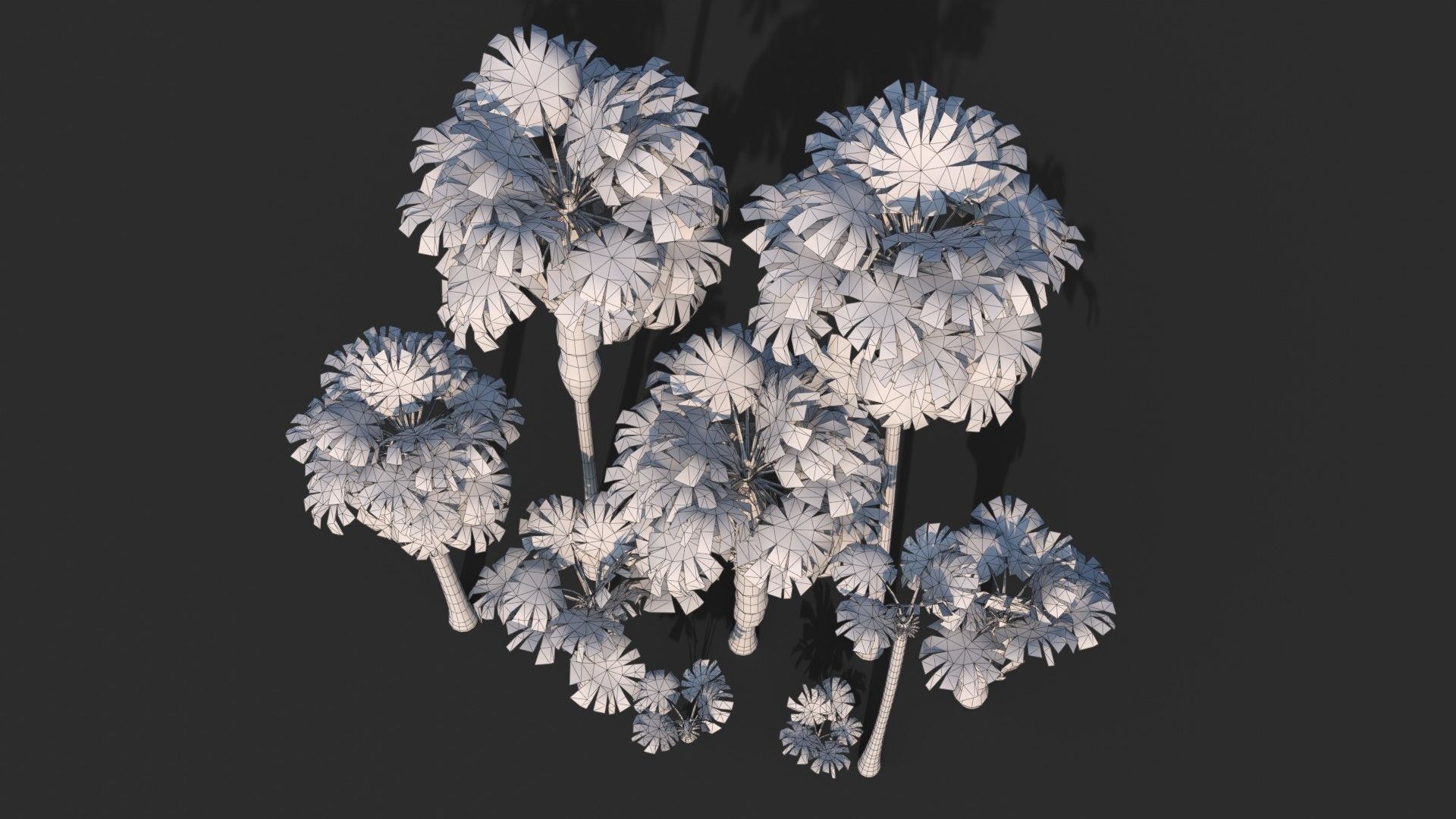 Modular Mexican Fan Palm Tree - Washingtonia Robusta Low-poly 3D model_12