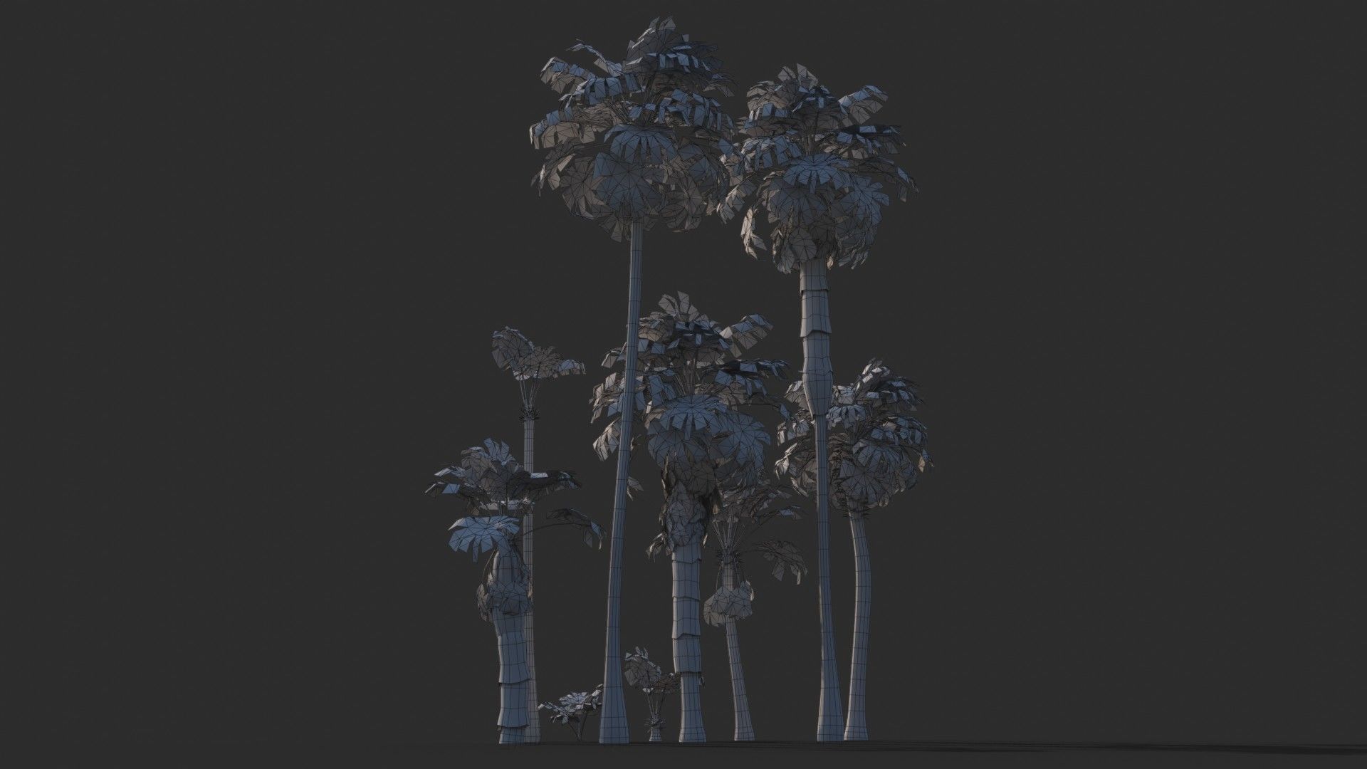 Modular Mexican Fan Palm Tree - Washingtonia Robusta Low-poly 3D model_11