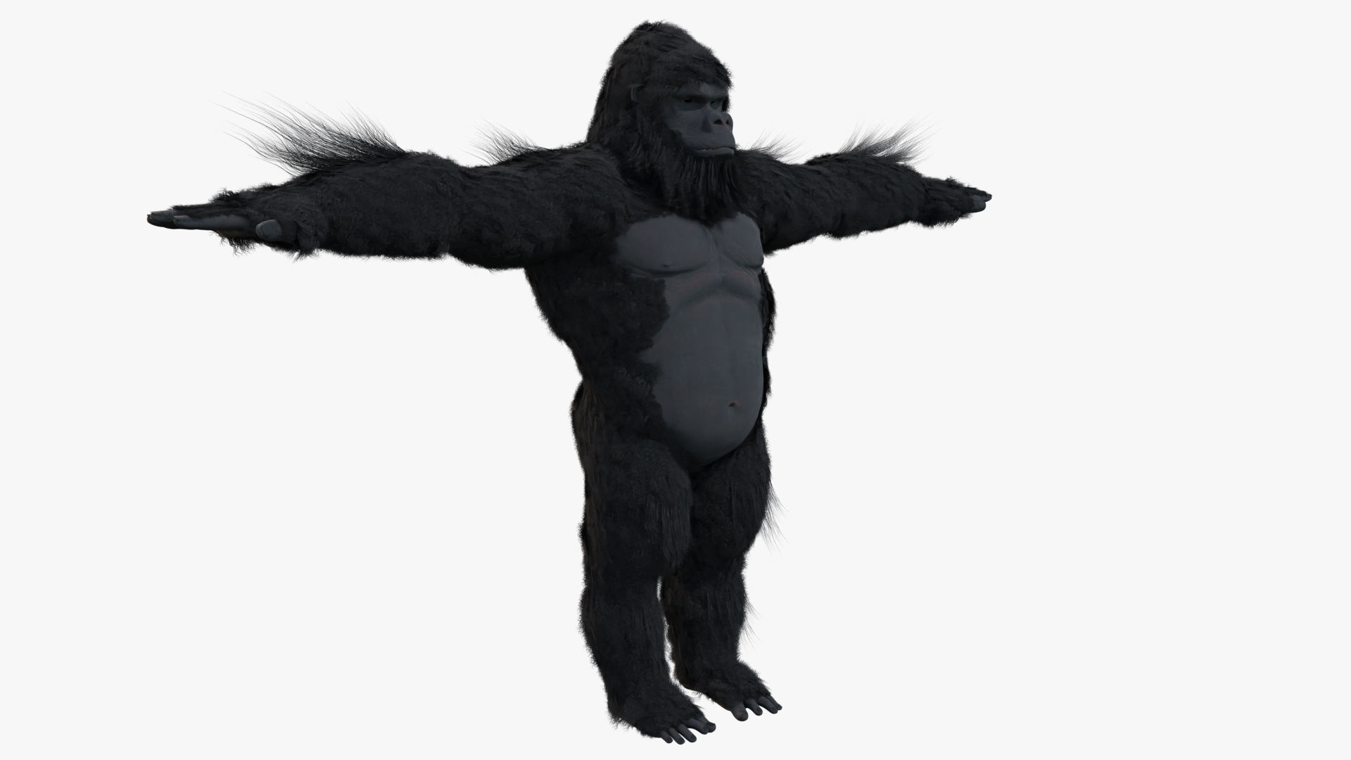 King Kong with Fur 3D model_19