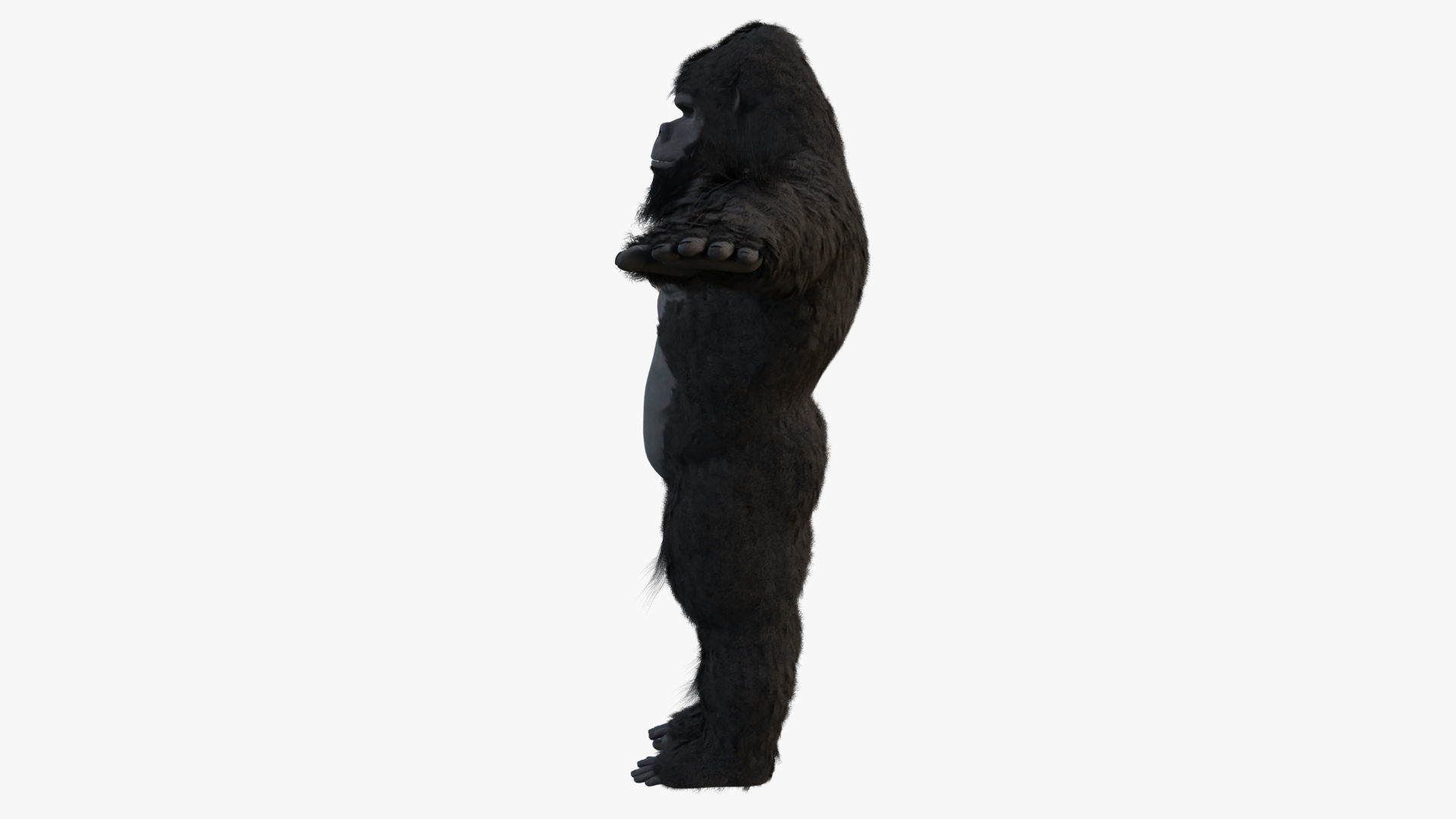 King Kong with Fur 3D model_10
