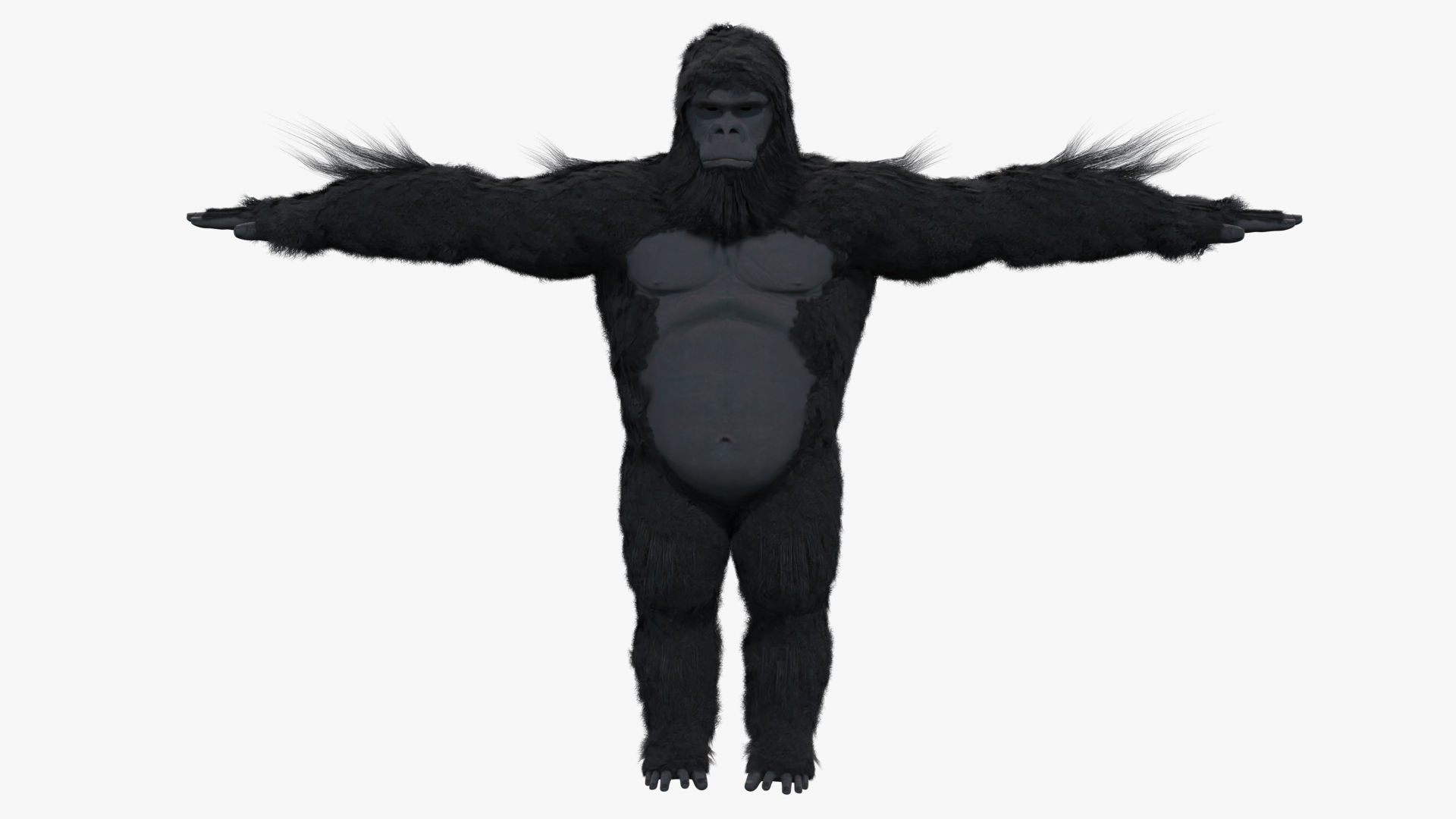 King Kong with Fur 3D model_5