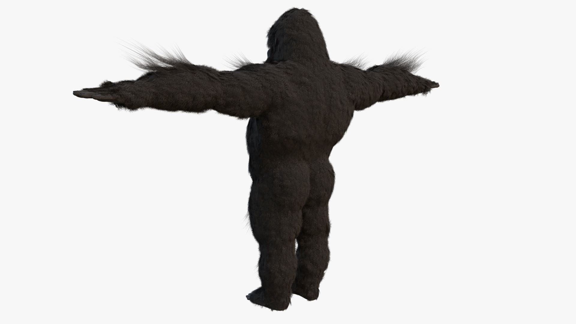 King Kong with Fur 3D model_13