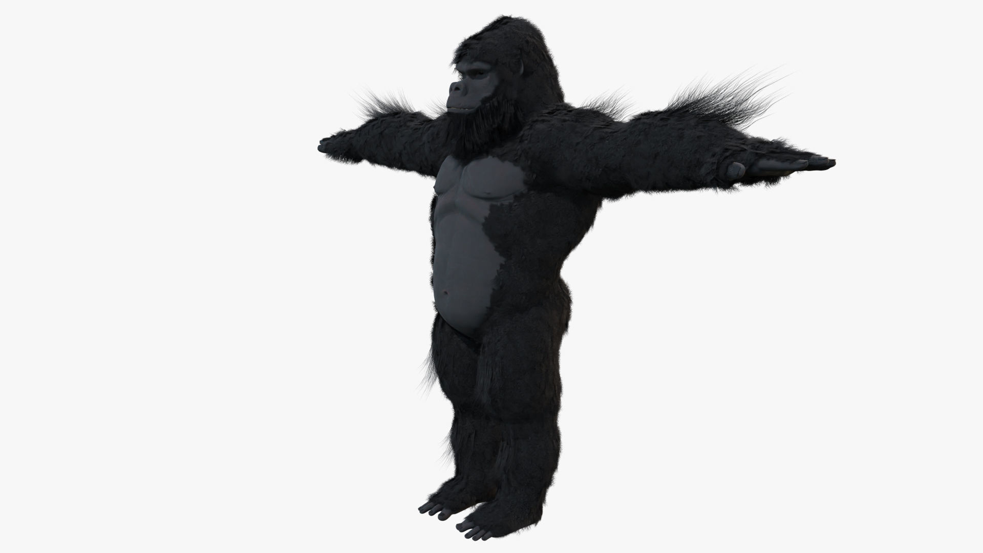 King Kong with Fur 3D model_7