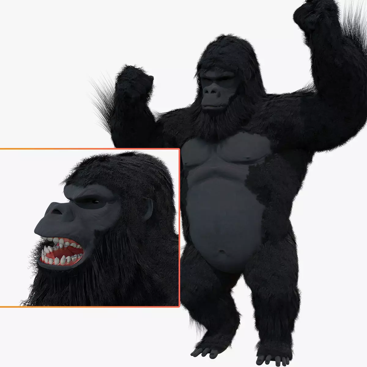 King Kong with Fur 3D model_0