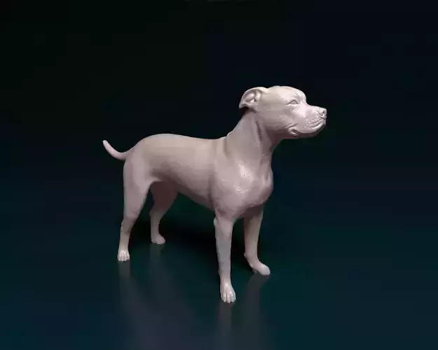 Staffordshire bull terrier x American bulldog 3D print model