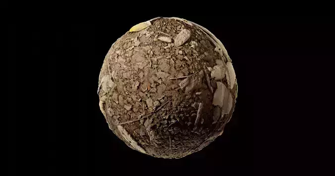 Dirt 15 Texture