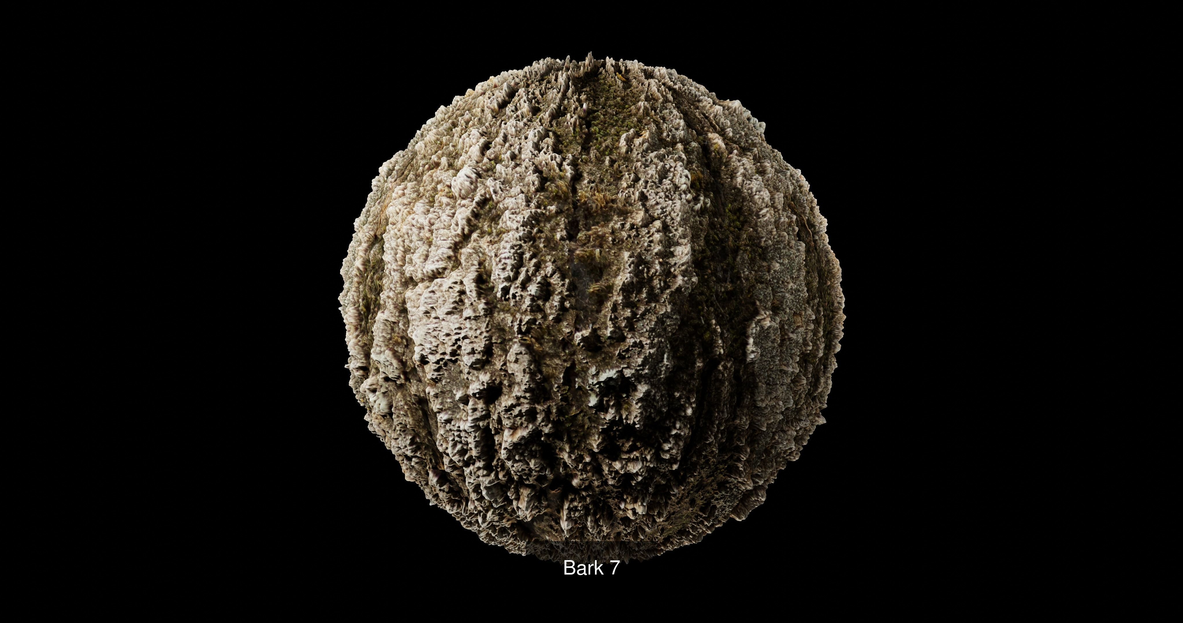 Bark Pack Texture_13