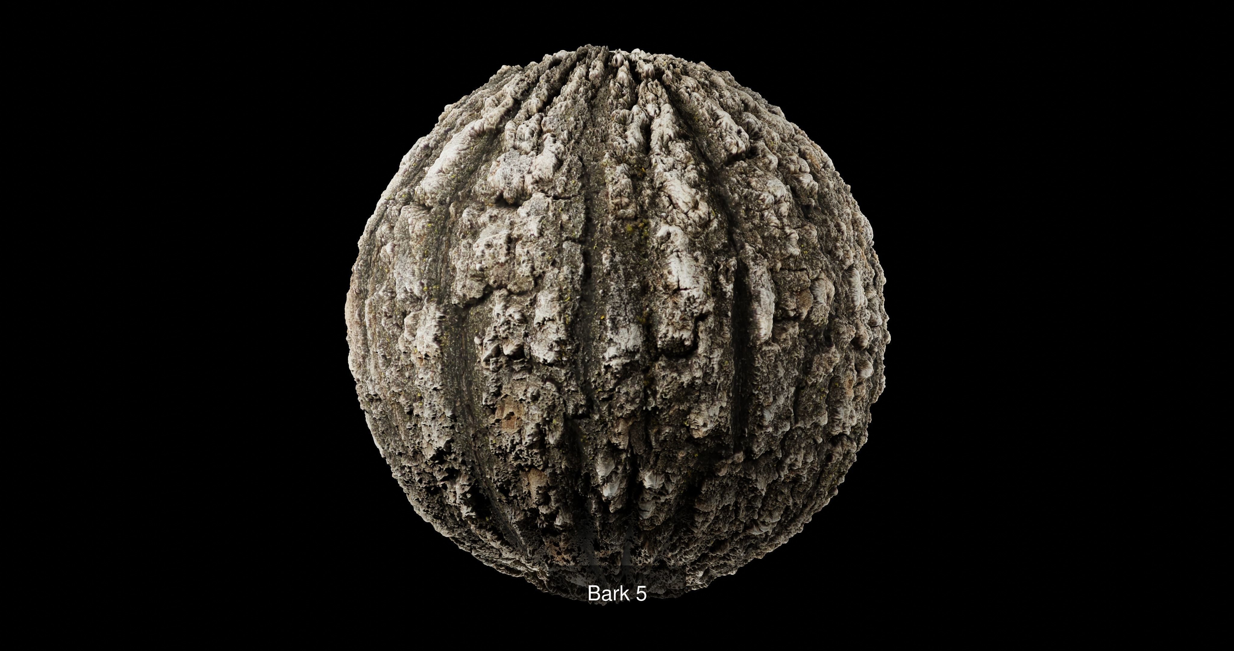 Bark Pack Texture_11