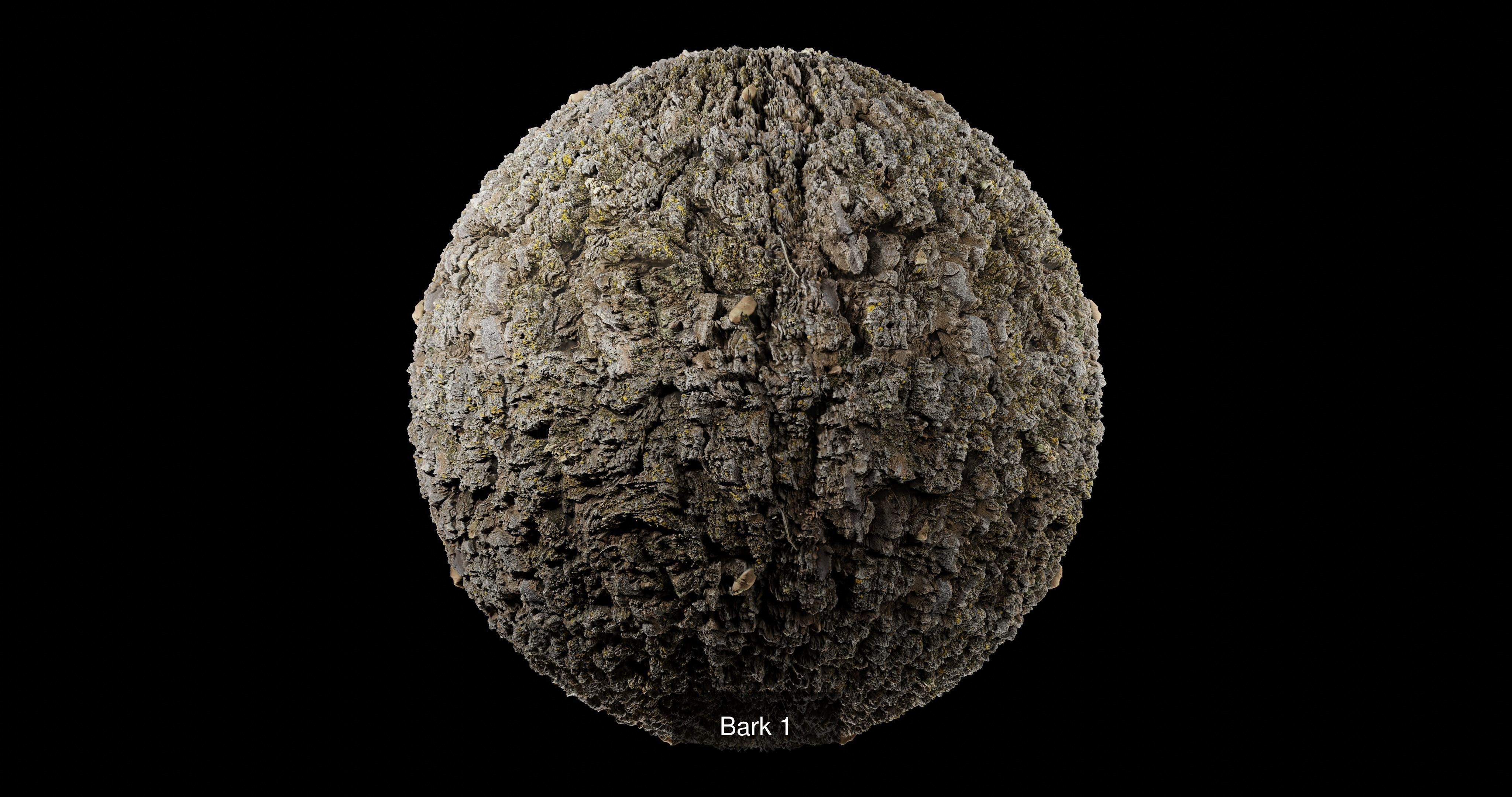 Bark Pack Texture_5