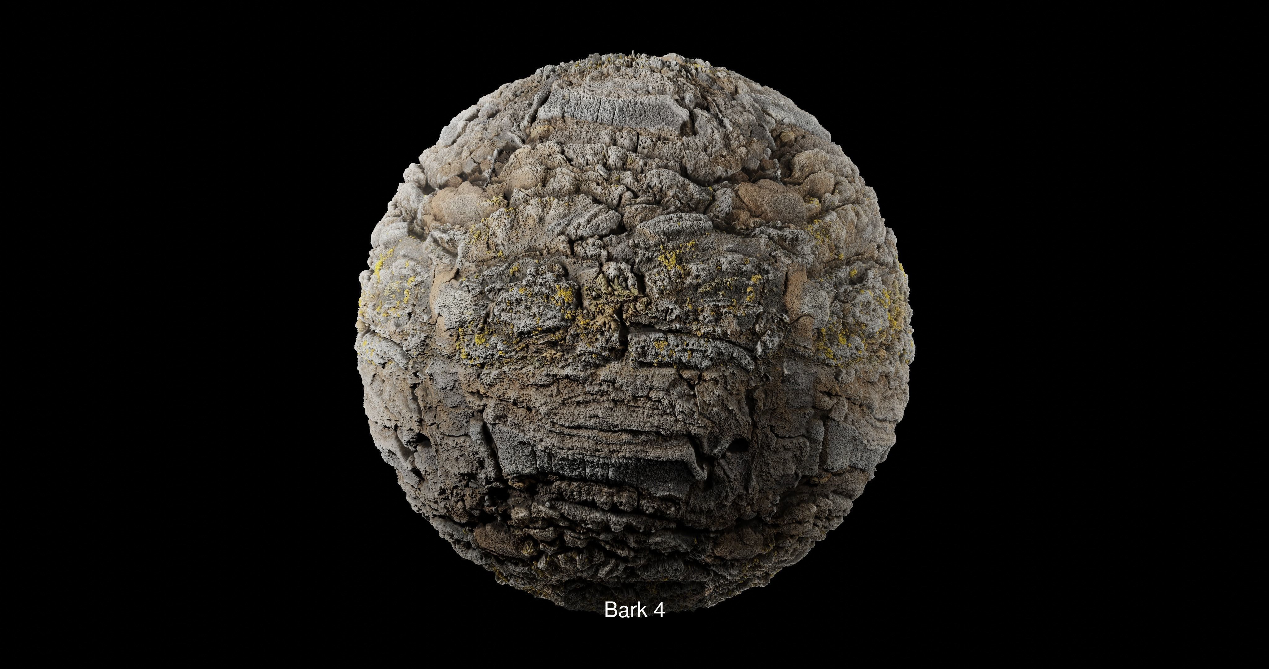 Bark Pack Texture_9