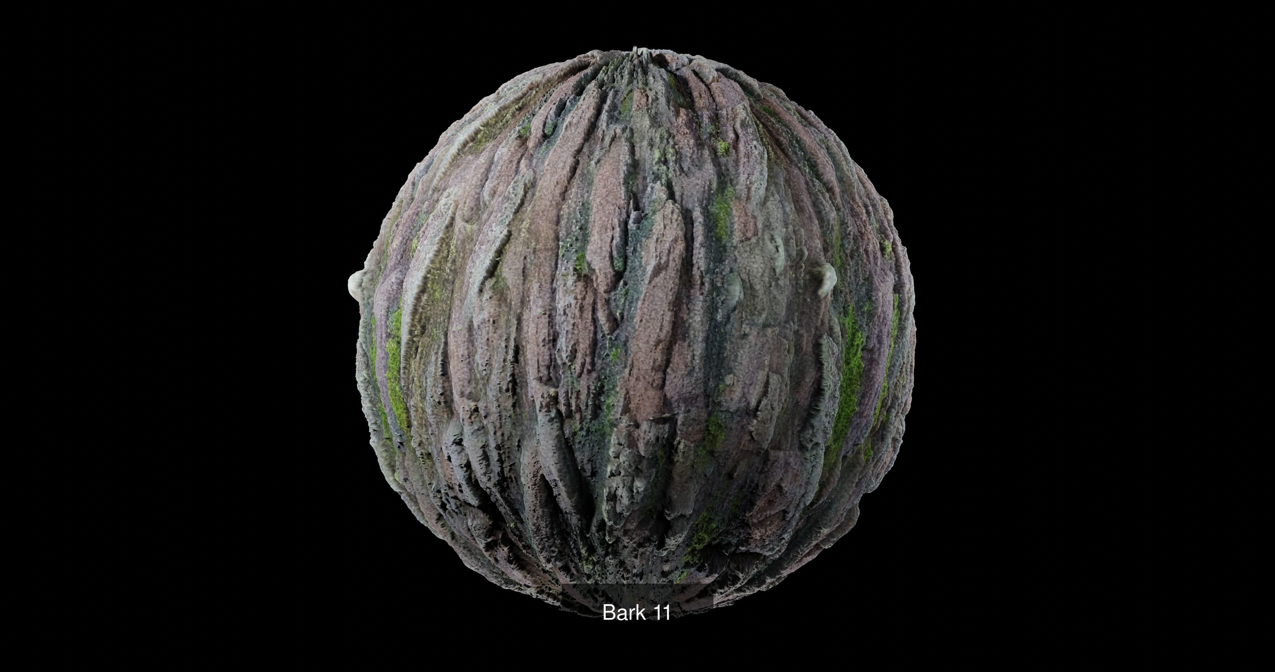 Bark Pack Texture_10