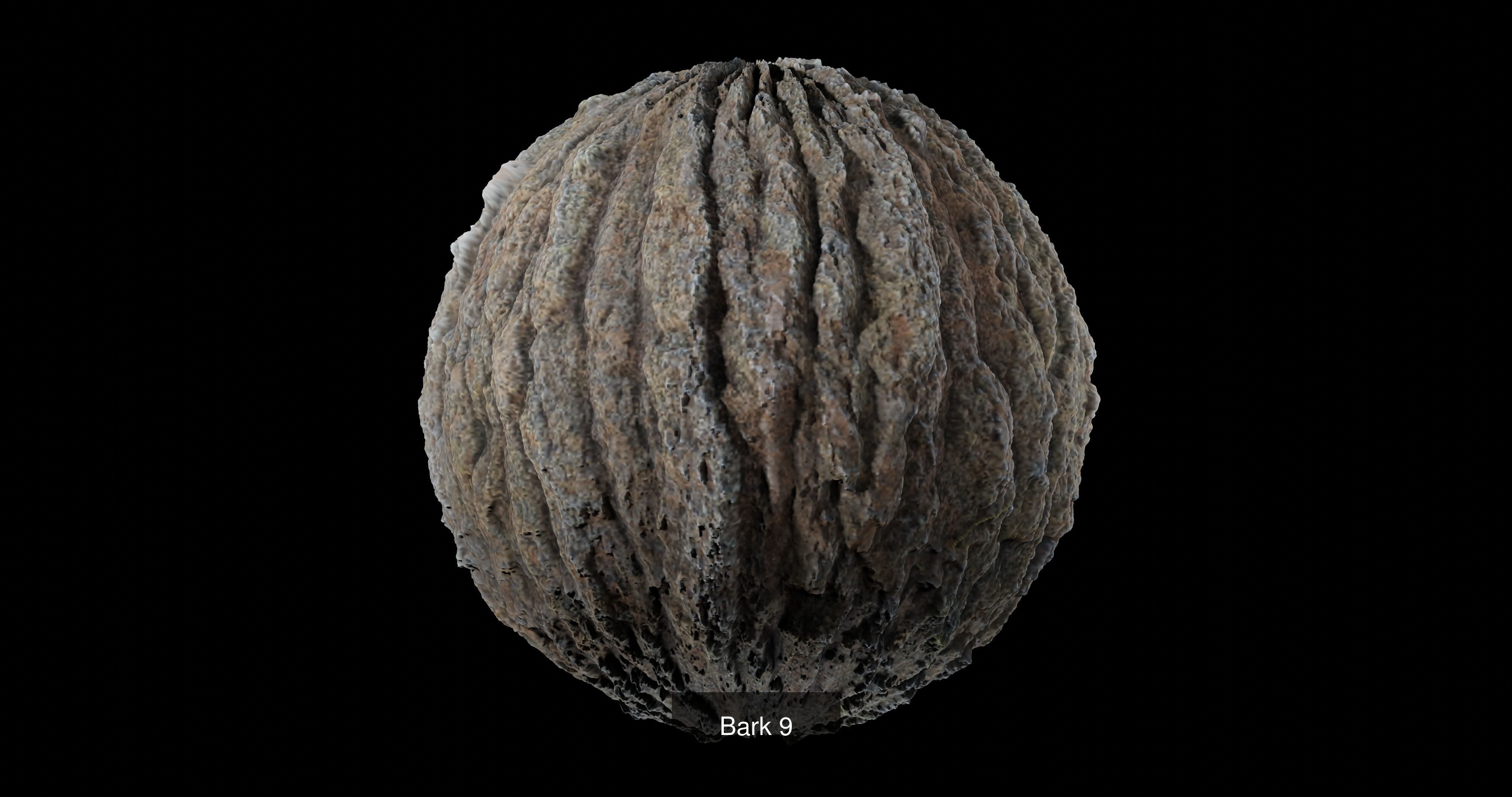 Bark Pack Texture_6