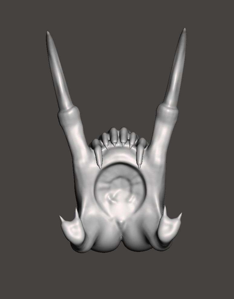 ASSCRAB - HALF LIFE HEADCRAB WITH A BIG BUTT- THIC HIGH POLY STL 3D print model_10