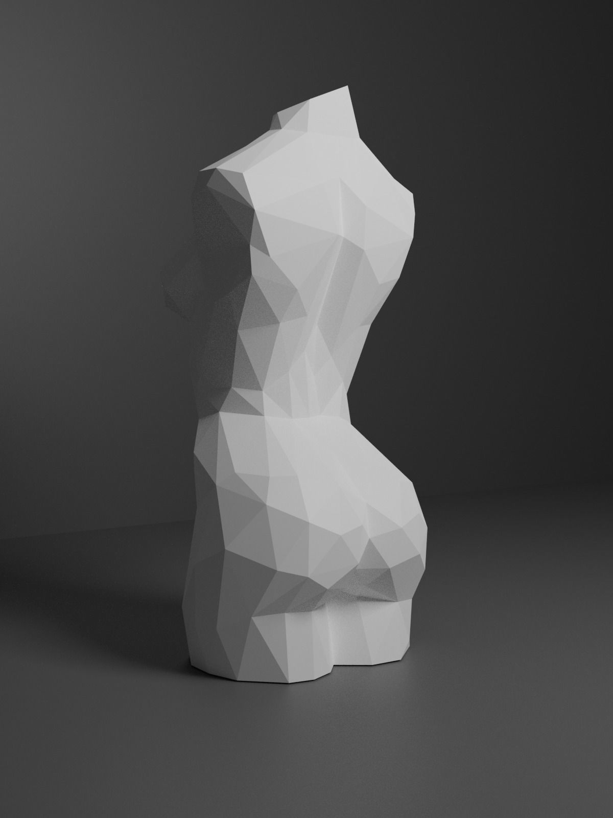 Low Poly Female Torso 3D print model_14
