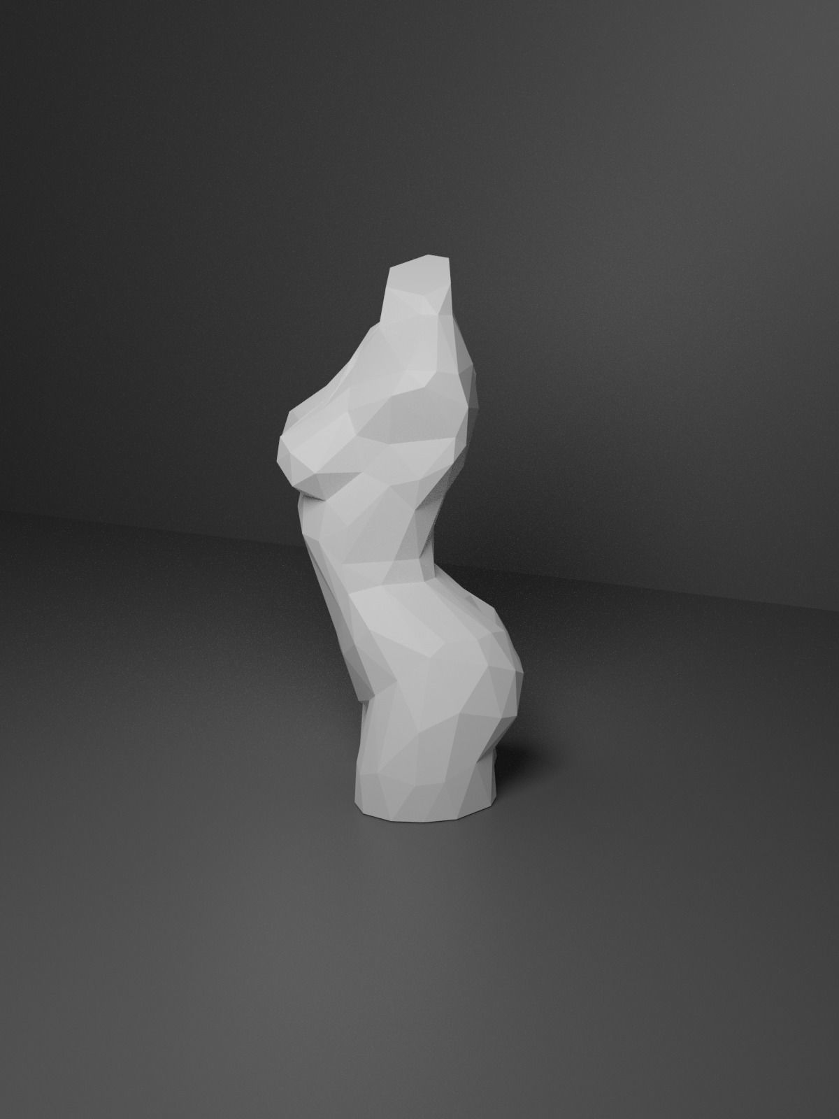 Low Poly Female Torso 3D print model_6
