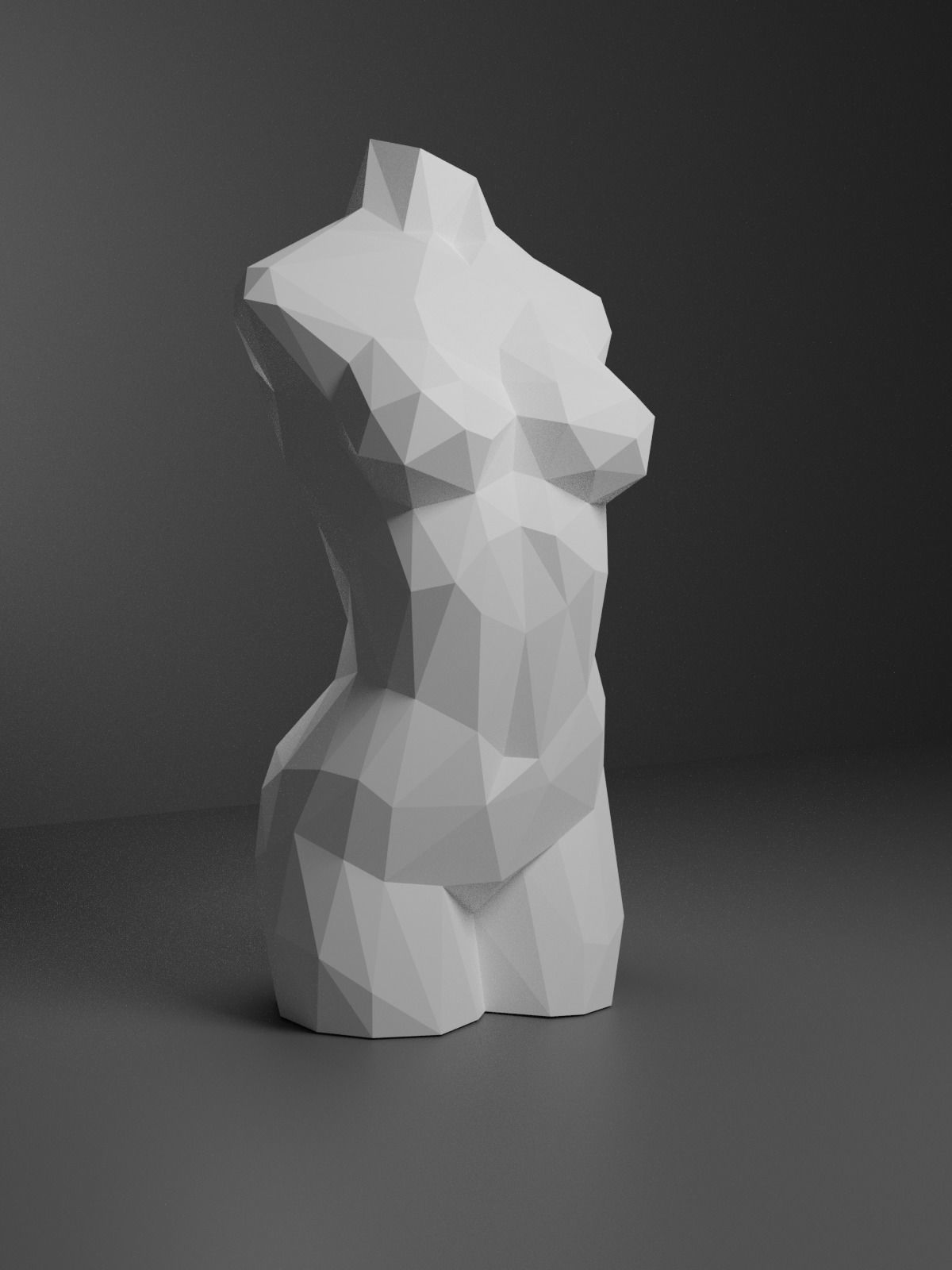 Low Poly Female Torso 3D print model_3