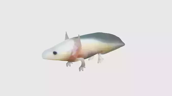 Low Poly Axolotl Rigged With Realistic Texture Low-poly 3D model