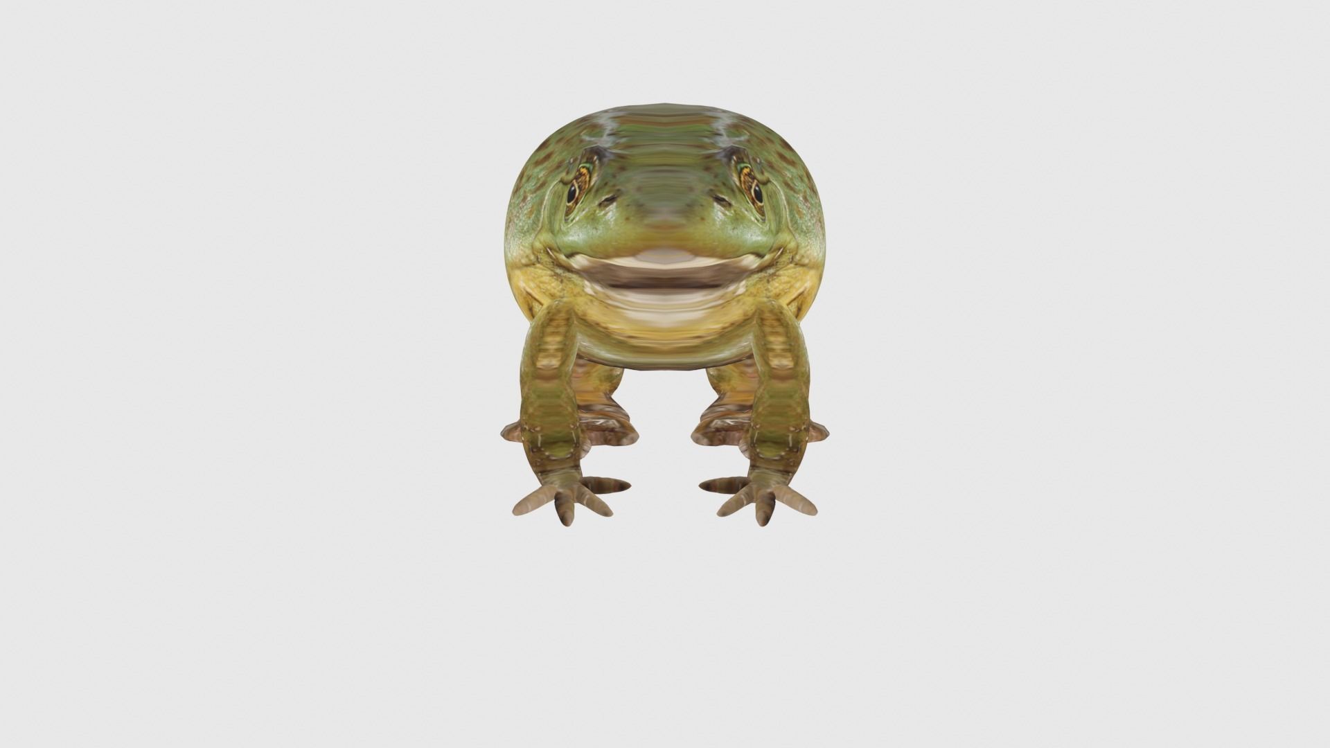 Low Poly Bullfrog Rigged With Realistic Texture Low-poly 3D model_1