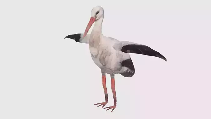 Low Poly Stork Rigged With Realistic Texture 3D model