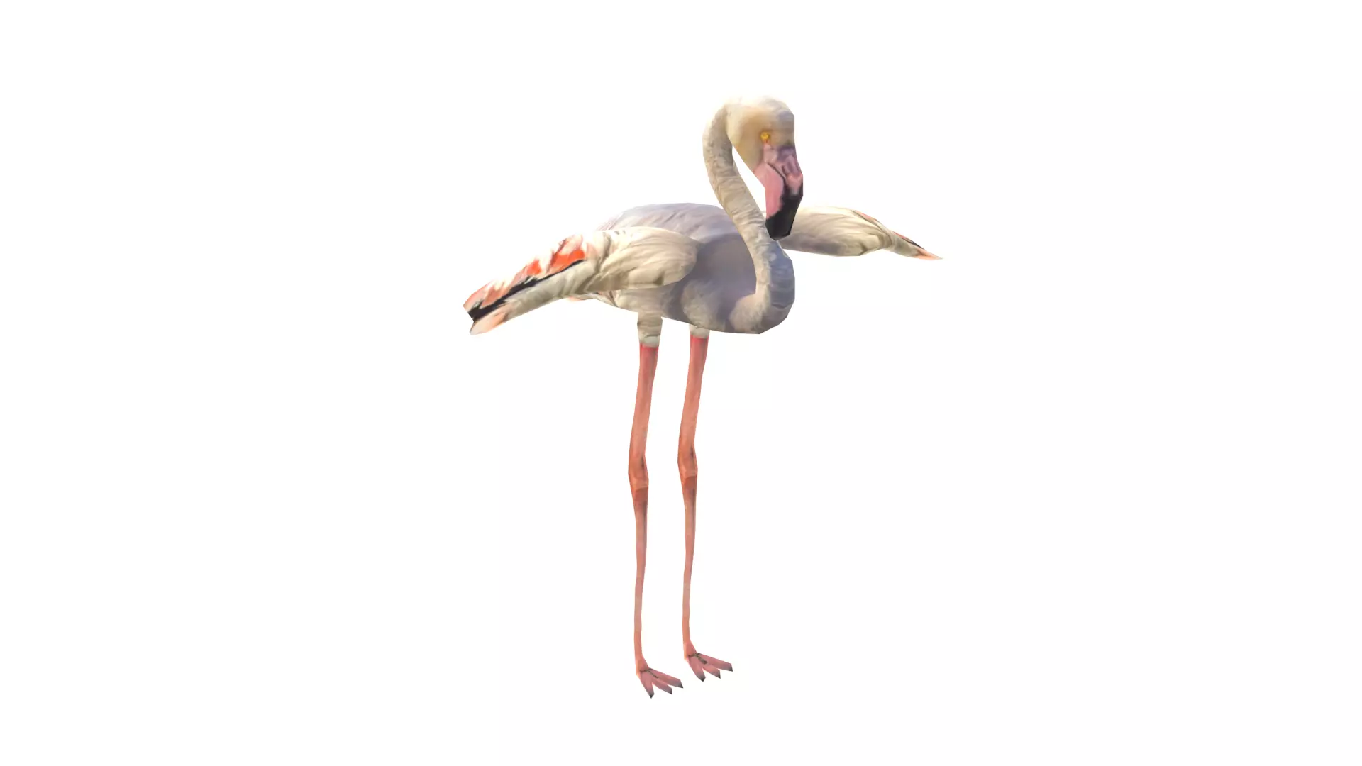 Low Poly Flamingo Rigged With Realistic Texture Low-poly 3D model