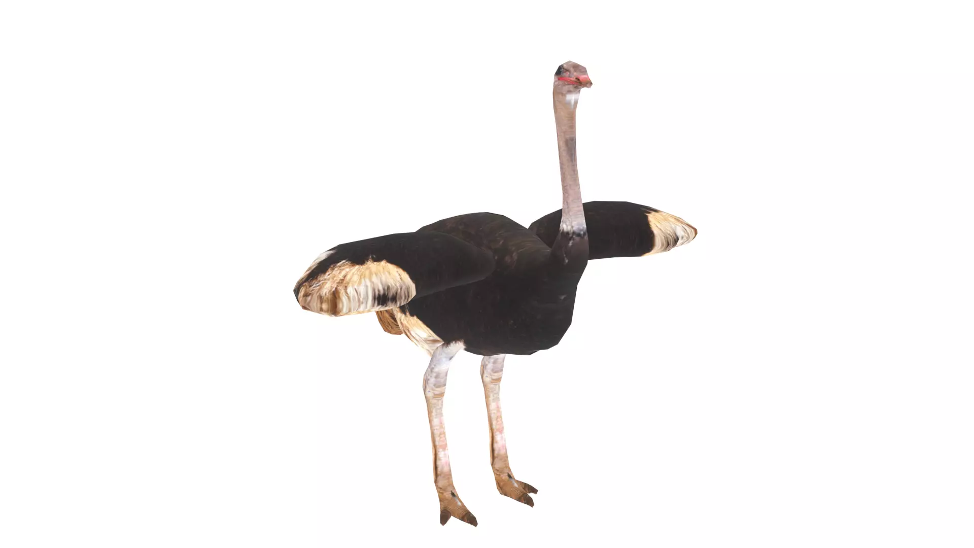 Low Poly Ostrich Rigged With Realistic Texture Low-poly 3D model
