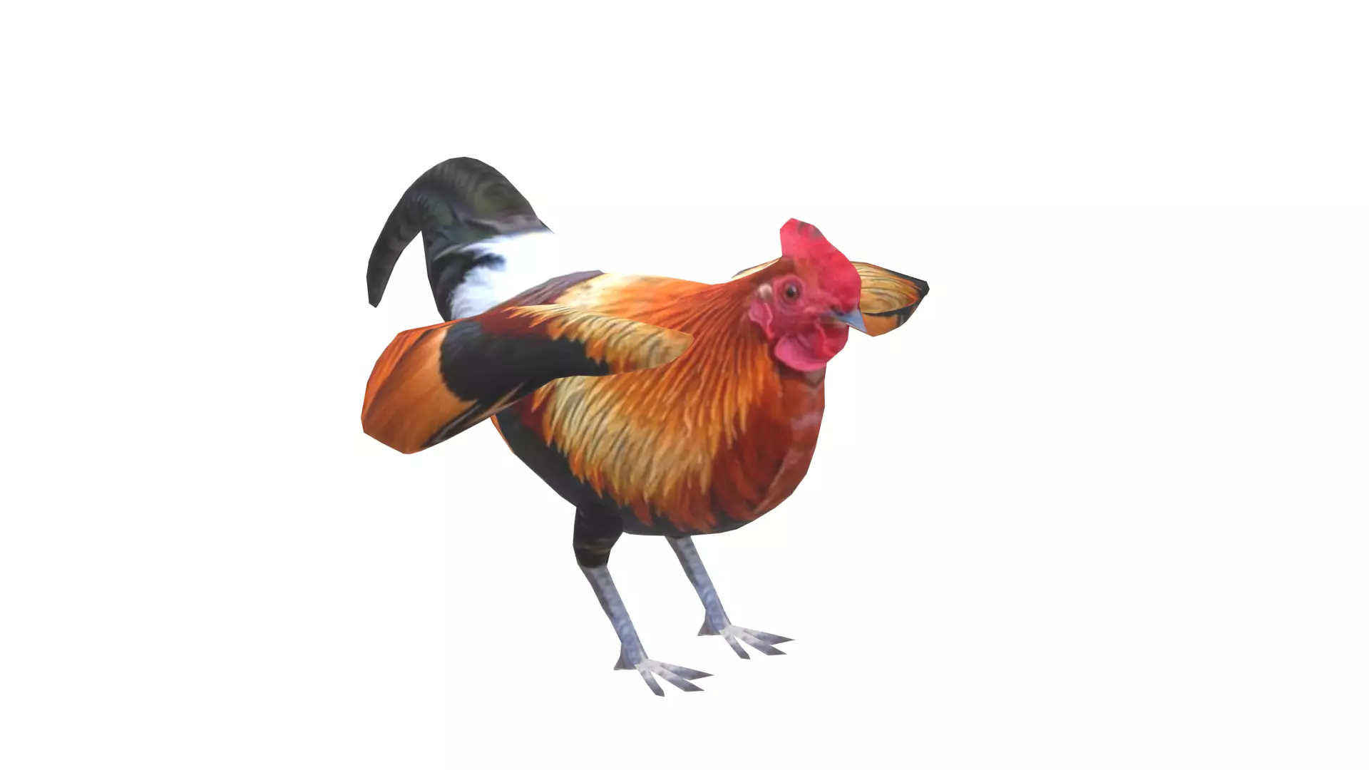 Low Poly Rooster Rigged With Realistic Texture Low-poly 3D model